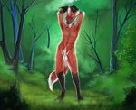  arms_above_head balls blue_eyes canine fur half-erect looking_at_viewer male mammal maned_wolf nature nude penis red_fur sheath solo theowlette wolf 