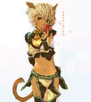  animal_ears cat_ears final_fantasy final_fantasy_xi midriff mithra solo xanado 