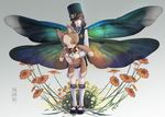  badge brown_hair dragonfly_wings fairy flower hat hat_over_one_eye highres nokuran original pantyhose shako_cap shorts socks_over_pantyhose stuffed_animal stuffed_toy vest white_legwear wings 