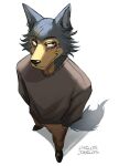 2023 absurd_res anthro beastars bottomwear canid canine canis carlosjarlos clothed clothing eyebrows footwear fur hi_res high-angle_view legoshi_(beastars) looking_at_viewer looking_up looking_up_at_viewer male mammal pants scar shadow shoes signature simple_background smile solo standing sweater topwear tuft white_background wolf