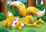  anthro ass_up bbmbbf bent_over blush breasts butt canine crossgender female fluffy_tail fox human_feet mammal miles_prower mobius_unleashed multiple_tails nature nipples nude open_mouth outside plantigrade presenting presenting_hindquarters pussy raised_tail sega soles solo sonic_(series) tails toes 