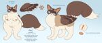 anthro breasts domestic_cat english_text felid feline felis female feral genitals hi_res labbit1337 mammal model_sheet overweight overweight_female pussy smile snowshoe_cat solo text tressym