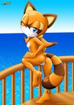 anthro anus bbmbbf blush breasts butt female hindpaw looking_at_viewer looking_back mammal marine_the_raccoon mobius_unleashed nipples nude one_eye_closed outside paws plantigrade pose pussy raccoon sea soles solo standing toes water wink young 
