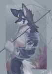absurd_res anthro biceps blue_body blue_eyes blue_fur blue_wolf_(ty_arashi) bulge canid canine canis clothing detailed_bulge flaccid flower fur genitals hair hi_res humanoid_genitalia humanoid_penis looking_at_viewer male mammal mars_4043 multicolored_body multicolored_fur muscular muscular_anthro muscular_male nipples outside pecs penis plant raining solo standing translucent translucent_clothing two_tone_body two_tone_fur umbrella wet wet_clothing wolf