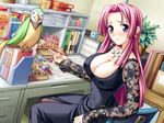  1girl animal bird blush book breasts candy chair cleavage collar covered_nipples dress earrings erect_nipples game_cg highres huge_breasts jewelry long_hair looking_at_viewer ooeyama_inori parrot pen pink_hair purple_eyes shironeko_sanbou sitting smile table tsuyokiss 