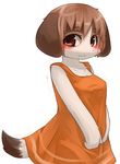  breasts brown_eyes brown_hair canine chipar clothing dog dress eyebrows female hair looking_at_viewer mammal plain_background short_hair small_breasts solo white_background 