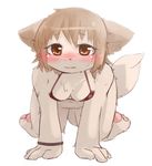  blush bra bracelet breasts brown_eyes brown_hair canine chipar clothing dog eyebrows female hair jewelry looking_at_viewer mammal plain_background short_hair small_breasts solo underwear white_background 