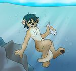  bubbles eyewear fish fuzzywuff glasses male mammal marine mustelid nipples nude otter penis rocks shichiro simple_background uncut underwater water 