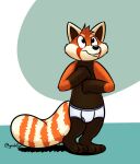 ailurid anthro blue_seam_briefs blue_seam_underwear briefs clothing colored_seam_underwear fur geekfox male mammal red_body red_fur red_panda shadow signature smile solo tan_body tan_fur tighty_whities underwear white_briefs white_clothing white_underwear