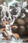  black_fur canine cerb0980 chest_tuft fur green_eyes jumping kemono male mammal moss nature navel open_mouth orange_fur pawpads red_eyes rock teeth tooth tree tuft water waterfall 