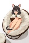  1girl animal_ear_fluff animal_ears barefoot black_hair blue_eyes blush book cat_ears cat_girl chair closed_mouth dress highres holding holding_book long_sleeves open_book original short_hair shorts simple_background sitting solo tail vinoker white_background white_dress white_shorts 