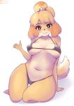5_fingers absurd_res anthro bebatch bikini black_eyes breasts breasts_apart camel_toe canid canine canis clothed clothing domestic_dog feet female fingers fur hair hi_res looking_at_viewer mammal navel pupils shadow swimwear toes white_pupils