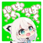  1girl :d ahoge animal_ear_fluff animal_ears blue_eyes blue_neckerchief blush chibi commentary_request detached_sleeves fox_ears fox_girl fox_tail green_background hair_between_eyes hololive hood hood_down long_hair muuran neckerchief outline shirakami_fubuki smile solo star_(symbol) tail translation_request twitter_username two-tone_background virtual_youtuber white_background white_hair white_outline white_sleeves 