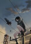  1girl absurdres backlighting bird black_eyes black_footwear black_hair black_jacket cloud crow feathers gradient_sky hair_over_one_eye headphones headphones_around_neck high_collar highres jacket legs long_bangs long_sleeves namusan1146 original outdoors power_lines shoes sitting sky socks solo sunset utility_pole zipper 