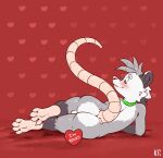 absurd_res american_opossum anthro balls blush butt eyewear flirting fur genitals glasses grey_body grey_fur hi_res holidays katxfish lying male mammal marsupial paws raised_tail rear_view simple_background smile solo tail valentine&#039;s_day virginia_opossum