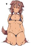  1girl animal_ears batta_16-sei bikini black_bikini blush bone_hair_ornament braid breasts brown_hair dark-skinned_female dark_skin dog_ears dog_girl dog_tail hair_between_eyes hair_ornament highres hololive inugami_korone large_breasts long_hair looking_at_viewer navel orange_eyes solo swimsuit tail tan twin_braids virtual_youtuber 