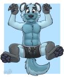 5:6 anthro balls_outline biped black_body black_clothing black_ears black_fur black_nose black_pawpads black_underwear blue_background blue_body blue_eyes blue_fur blue_hair blue_tail border boxer_briefs boxer_briefs_only bulge clothed clothing colored_seam_underwear cute_fangs detailed_bulge fur gaokun genital_outline hair hi_res hyena inner_ear_fluff looking_at_viewer male mammal monotone_ears monotone_hair multi_tone_fur pawpads simple_background solo spread_legs spreading tail topless tuft two_tone_tail underwear underwear_only watermark white_border white_inner_ear white_seam_underwear