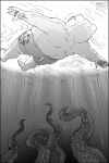 2024 anthro bear bepo_(one_piece) bottomwear butt clothing comic hi_res humanoid_hands mammal minkmen_(one_piece) nekokat42 one_piece overweight polar_bear shorts swimming swimwear tentacles ursine water