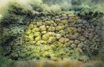  grass highres leaf moss no_humans original painting_(medium) pile plant shimizu_megumi_(m_acquerello) still_life traditional_media watercolor_(medium) weeds 