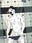  boscoe boxers canine dalmatian dog male mammal mixer shower underwear undressing water wet 