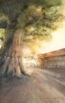  building dappled_sunlight highres leaf no_humans original painting_(medium) plant rope scenery shadow shimenawa shimizu_megumi_(m_acquerello) sunlight traditional_media tree tree_shade watercolor_(medium) 