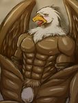  abs anthro armlets avian beak biceps bird blue_eyes blush brown_feathers cloaca cuntboy eagle egg feathers intersex muscles nipples nude open_mouth oviposition pecs plain_background ryuukikeito sitting slit solo spreading tongue white_feathers wings 