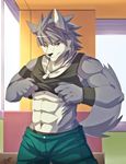  abs anthro biceps big_muscles black_nose boxers canine clothing dog dog_tags fur grey_fur grey_hair hair husky kouya_aotsuki looking_at_viewer male mammal morenatsu muscles necklace pants pecs pose rabbity shirt shirt_lift solo standing sweatband tank_top teeth toned underwear white_fur wolf wristband yellow_eyes 