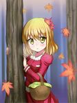  :o against_tree aki_shizuha autumn_leaves bad_id bad_pixiv_id blonde_hair blue_background blurry blush depth_of_field dress forest hair_ornament juliet_sleeves leaf leaf_hair_ornament long_sleeves looking_at_viewer maple_leaf nature picnic_basket puffy_sleeves short_hair solo tonakai_(bunsuka) touhou tree yellow_eyes 