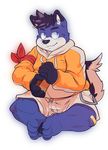  anthro arm_band bandage barefoot black_hair black_nose blue_eyes blue_fur bulge canine cards chubby claws clothed clothing dog ear_piercing fur gazpacho_(artist) hair hindpaw hoodie husky male mammal pants pawpads paws piercing shirt shorts sitting solo white_fur zipper 