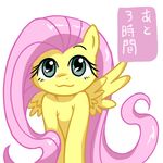  cute cyan_eyes equine female fluttershy_(mlp) friendship_is_magic fur hair horse itimu japanese_text long_hair looking_at_viewer mammal my_little_pony pegasus pink_hair plain_background pony solo text translated translation_request white_background wings yellow_fur 