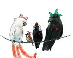  animalization b'w_(wayen26) bad_id bad_pixiv_id bird bow cockatoo crow eurasian_tree_sparrow feathers fujiwara_no_mokou hat mystia_lorelei mystia_lorelei_(bird) no_humans parrot raven_(animal) reiuji_utsuho reiuji_utsuho_(bird) shameimaru_aya shameimaru_aya_(crow) sitting sparrow tail touhou 