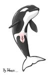  anatomically_correct cetacean dolorcin female feral mammal marine orca plain_background pussy whale white_background 