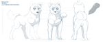  ?! animal_genitalia balls butt canine canine_penis character_reference dog erection feral fluffy_tail knot looking_at_viewer male mammal metalfox model_sheet nude penis plain_background solo weed_(character) white_background 