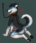  canine chakat-silverpaws collar cum dog erection husky invalid_tag kneeling leash looking_at_viewer male mammal nude penis plain_background silverpaws solo 