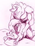  anal canine fox mammal pillow size_difference unknown_artist wolf 
