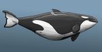  anatomically_correct cetacean dolorcin female feral genital_slit mammal marine orca sea slit underwater water whale 