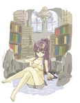  alternate_hairstyle arm_support barefoot bikini bookshelf chandelier crescent crescent_hair_ornament crossed_legs feet hair_ornament ladder micro_bikini oekaki patchouli_knowledge ponytail sengoku_aky side-tie_bikini sitting solo submerged swimsuit touhou water 