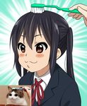  :3 bad_id bad_pixiv_id black_hair blush_stickers brown_eyes cat commentary_request hair_brushing k-on! long_hair nakano_azusa reference_photo reference_photo_inset sakuragaoka_high_school_uniform school_uniform toothbrush twintails watanore 