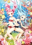  air_bubble amajita bad_id bad_pixiv_id barefoot bikini blue_eyes blue_hair blush bubble clownfish coral fish freediving highres holding_breath long_hair multiple_girls navel original pink_hair red_eyes shorts smile swimming swimsuit twintails underwater 