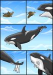 2010 ? avian blue_eyes cetacean cloud comic detailed_background dolorcin duo eyes_closed feathers feral flying gryphon mammal marine mountain open_mouth orca sky tongue vorarephilia vore whale 