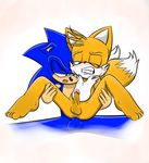 anal_penetration anthro balls canine duo fox gay hedgehog male mammal miles_prower penetration penis redkelv sega sonic_(series) sonic_the_hedgehog 