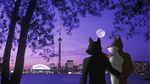  canine cute dog evening gay hazdak hi_res husky male mammal night toronto 