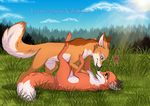  &lt;3 abby canine female feral fox legs_up lying male mammal on_back outside rick rukifox sheath straight 
