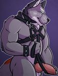  anthro balls canine clamcrusher collar leash leather male mammal nude penis solo thundergrey were werewolf wolf 