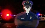  blue_eyes canadian_flag canine clothed clothing dog general hat hazdak husky looking_at_viewer male mammal night opp police wolf 