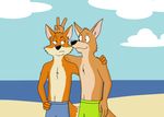  anthro beach canine clothed clothing dan duo fox friends josh kangaroo male mammal marsupial ms_paint paintfox seaside swimsuit the_crappy_paint_job 