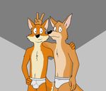  anthro canine dan duo fox friends invalid_tag josh kangaroo looking_at_viewer male mammal marsupial ms_paint nude paintfox pose staring_at_viewer the_crappy_paint_job 