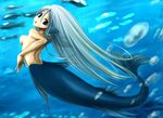  animal blue blue_eyes blue_hair breasts bubble fins fish from_behind gills head_fins hekikai_no_aion konowa long_hair looking_at_viewer looking_back medium_breasts mermaid monster_girl nude scar sheila_(hekikai_no_aion) sideboob solo tail underwater very_long_hair webbed_hands 