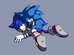  anal anal_penetration anthro balls blue_hair butt doggystyle duo from_behind gay green_eyes hair hedgehog male mammal penetration sega selfcest sex size_difference skyethekitsune skyevixensartwork small_dom_big_sub sonic_(series) sonic_the_hedgehog square_crossover 