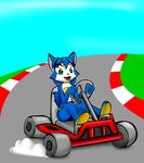  crossover fox joness2 krystal mammal mario_cart mario_kart nintendo race_track star_fox video_games 